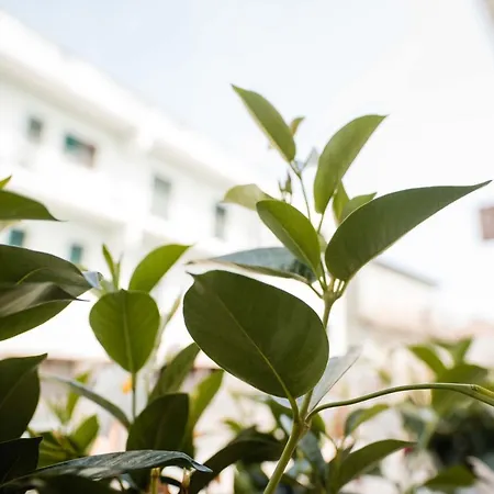 Bed & Breakfast Palazzo Resilente- Dell'infopoint 3*