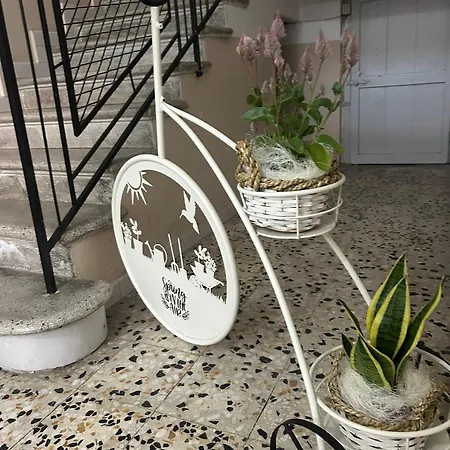 住宿加早餐酒店 Palazzo Resilente- Dell'infopoint 卡斯泰诺福奇伦托