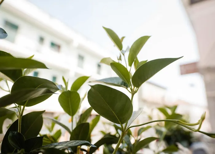 Bed & Breakfast Dell'infopoint-la Via Silente 4*